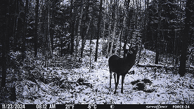 picture take by the FORCE-24 camera